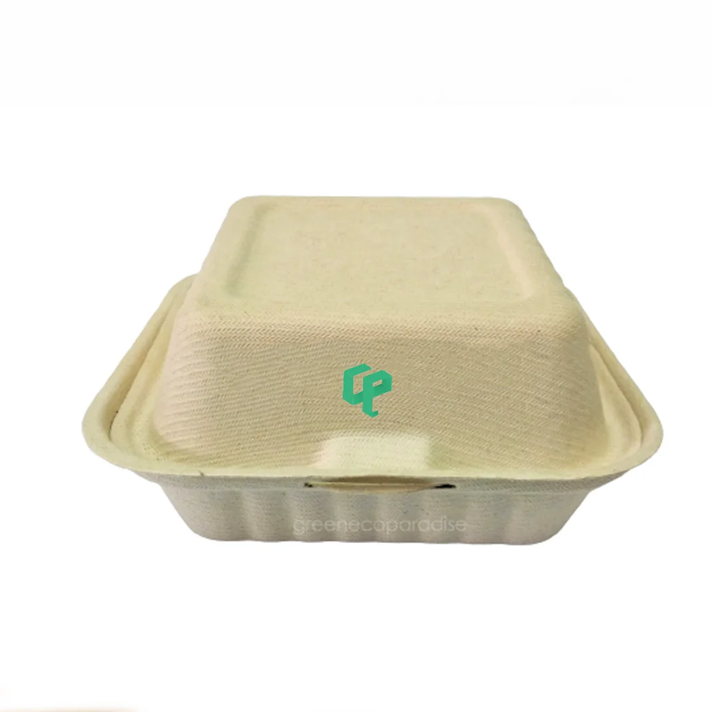boxes biodegradable burger