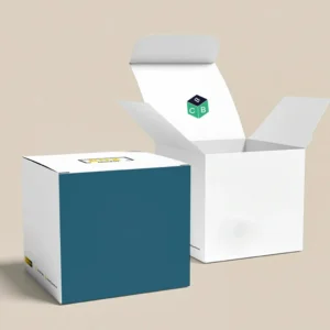 custom cube shape folding boxes