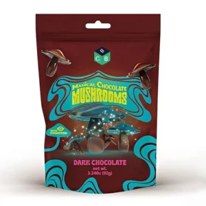 mylar bags chocolate storage