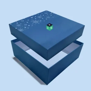 paperboard box with lid​